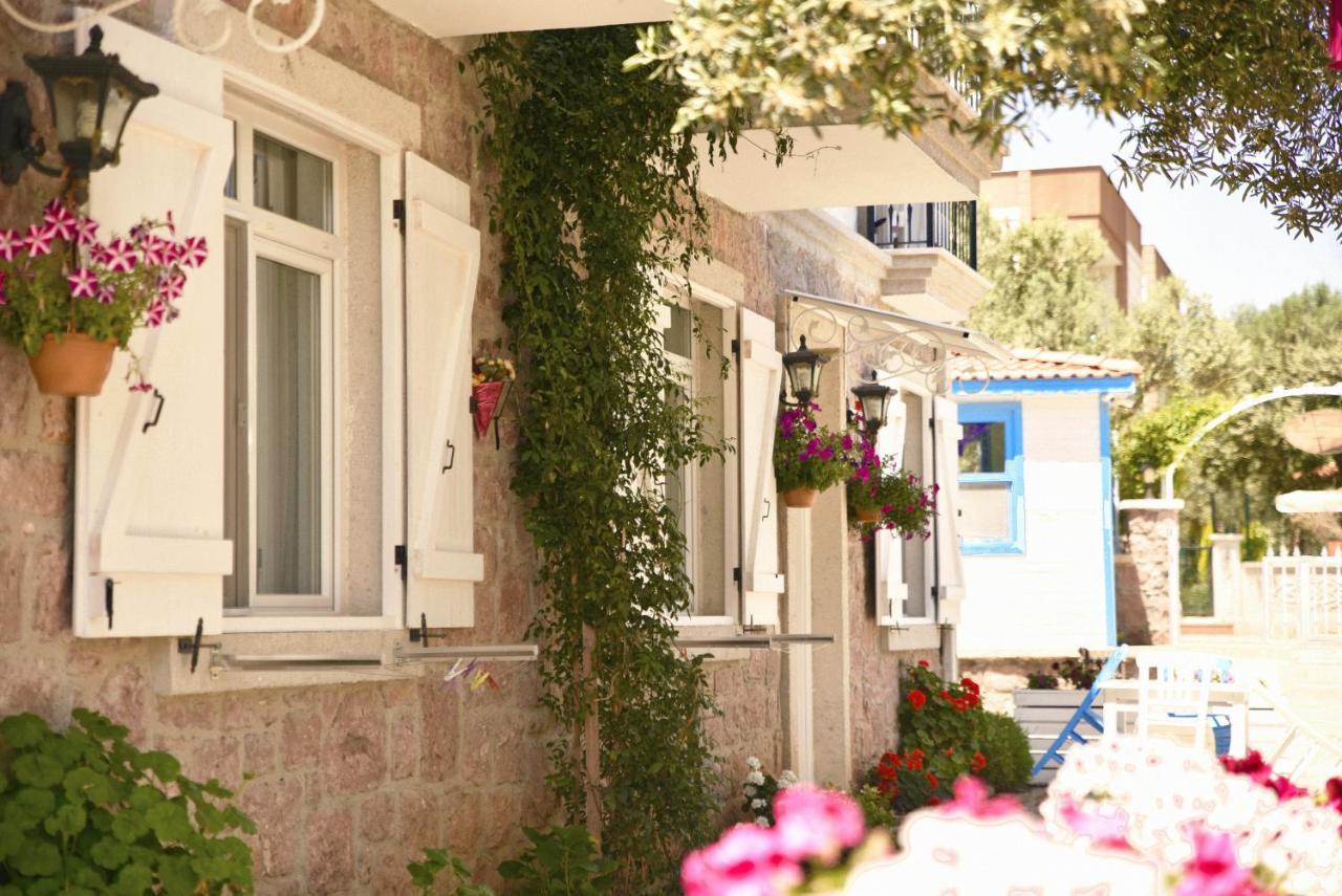 Zeytin Arasi 3*