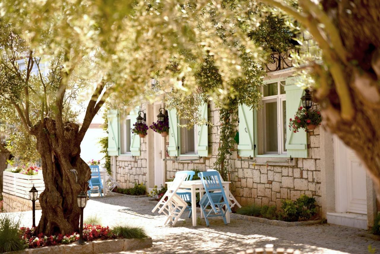 Zeytin Arasi 3* Ayvalik