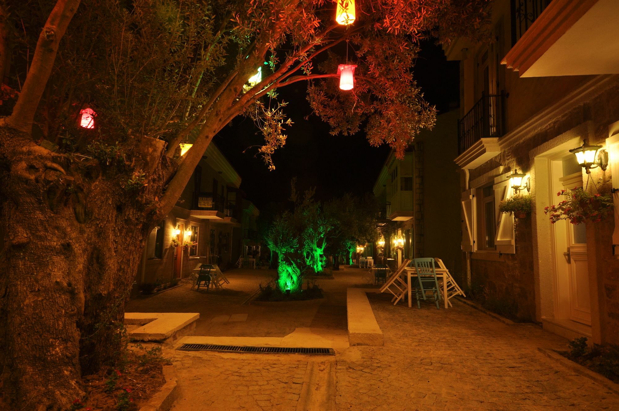 Zeytin Arasi 3* Ayvalik