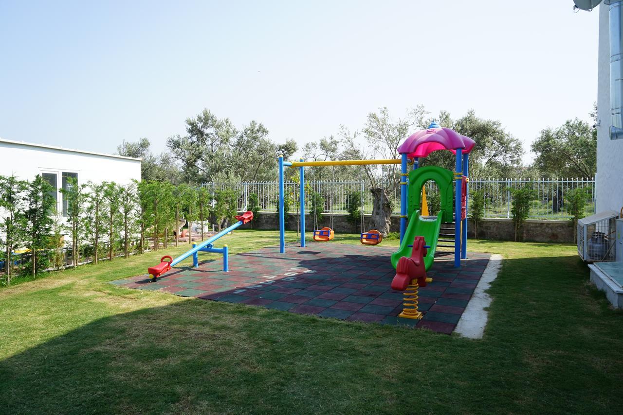 Zeytin Arasi 3*